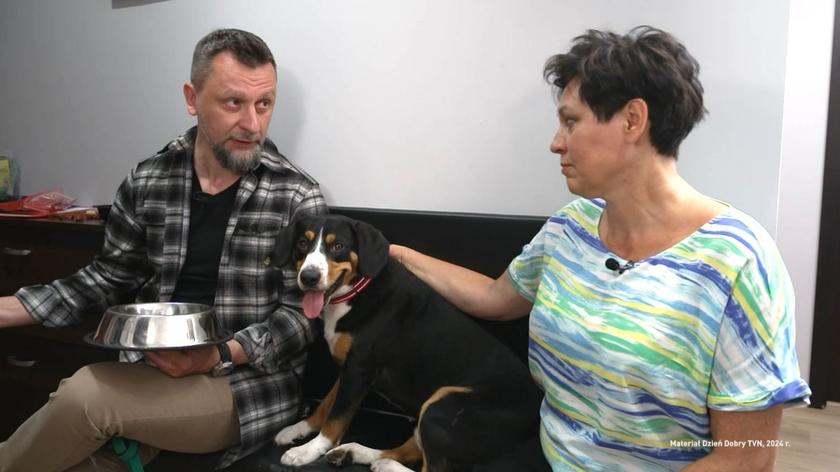 Jak rozmawiać z psem?: Jak przełamać niechęć pupila do wyjścia z domu?
