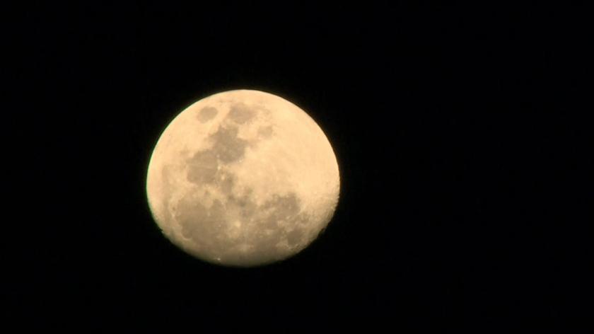 Co słychać?: Jak Koźli Księżyc wpływa na poszczególne znaki zodiaku?