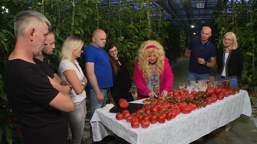 Kuchenne rewolucje: Wizyta na plantacji pomidorów